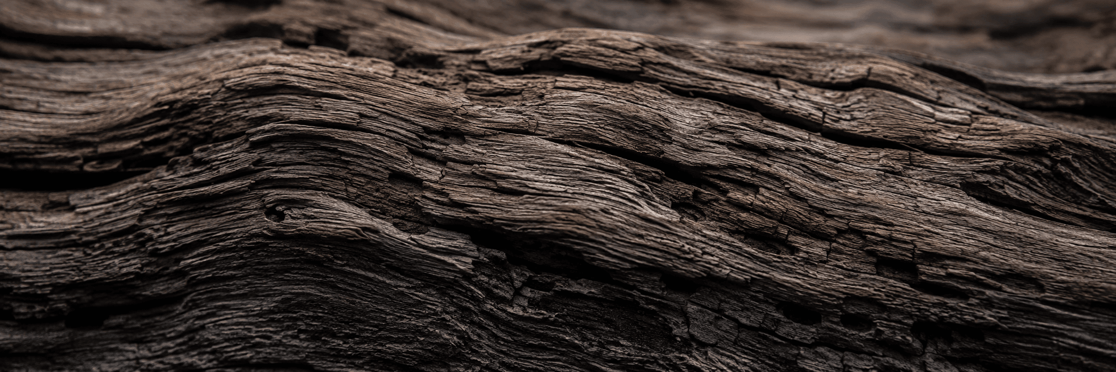 Weathered driftwood grain